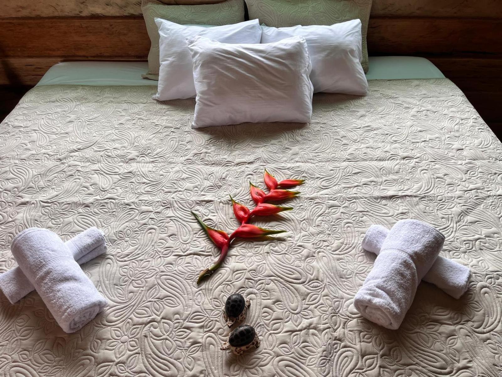 Purachata Ecolodge 이키토스 외부 사진